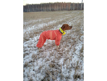 ����������� viber 2020-12-12 11-38-13.jpg