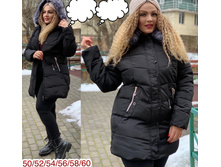 1640� 50,52,54,56,58,60 ��������� �� ������.jpg