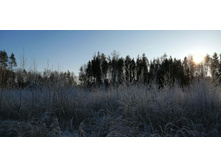 IMG 20201206 111730.jpg