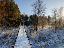 IMG 20201205 114724 IMG 20201205 114727-2 images.jpg