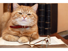 ��� �ޣ���