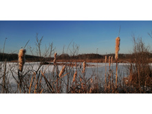 IMG 20201213 111859.jpg