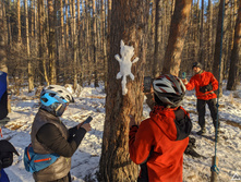 IMG 20201205 102911.jpg