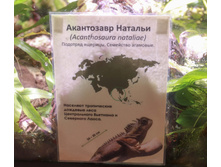 IMG 5319 1.jpg