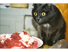 ��� �������� ...