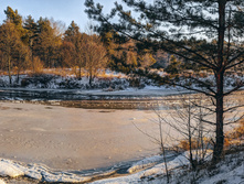 IMG 20201205 100015 IMG 20201205 100022-3 images.jpg