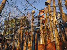 IMG 20201205 131012.jpg