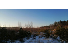 IMG 20201205 102338.jpg