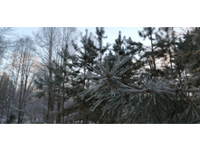 IMG 20201206 102828.jpg