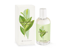 1800 ��� - ��������� ���� THE VERT - ��̣��� ��� 100 �� ��� 09496