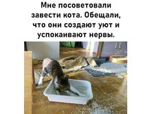 IMG 20201203 150344.jpg