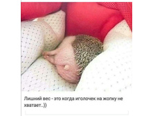 Screenshot 20201227 022905.jpg