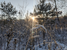 IMG 20201205 102607.jpg