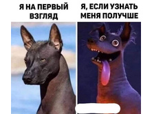 FB IMG 1608588601199.jpg