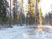 IMG 20201206 110308.jpg