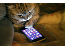 ������ ������ ����������!