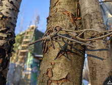 IMG 20201205 131000.jpg