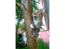 FB IMG 1607686783205.jpg