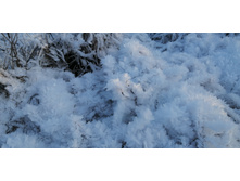 IMG 20201213 110149.jpg