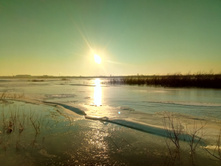 20201205 ������� ���� 1409.jpg