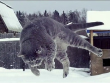 �������, ������� - ��ң� ����� �� �������!