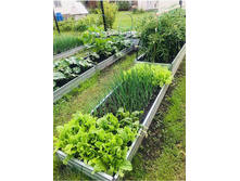 ������� � "������ ������� ���� 2�0,7�" 960�