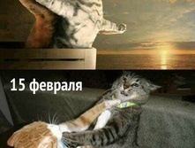 IMG 20210103 161224.jpg