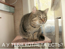 � � ���� ������� ����?