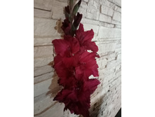 ���� � �����