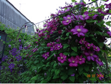 DSC00784.JPG