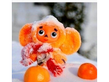 IMG 20210104 202706.jpg