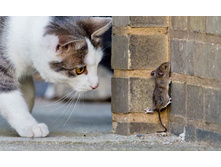 �� ����!