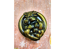 ��� �����