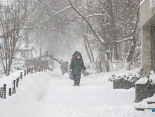 1c13bebf1690105d37930d400b6200006ea268f2 727.jpg