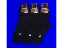 ������� ����� ������� �-13 (��� �-11) ������ �����