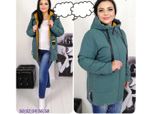 2080� 50,52,54,56,58 2.jpg