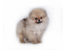 IMG 20201205 132655 (0228B4C0).jpg