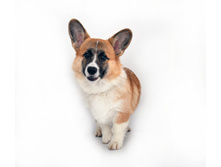 IMG 20201205 131457 (01C88A40).jpg