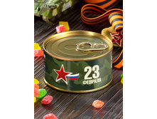 �������� � 23 ������� ���� 95 �