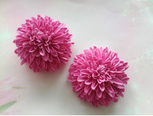 IMG 20210102 132423 (2).jpg