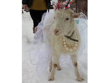 IMG 20210115 095537.jpg