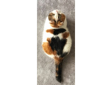 �� ���� ������ ��� ������!