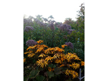 IMG 20190911 174905.jpg