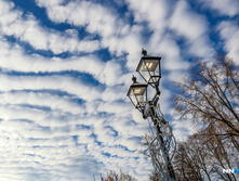 6e10d43811fb13cdc770e86ffe4030776f9639d0 727.jpg