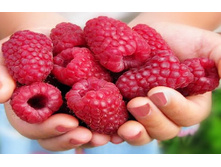 ������ ��������� ������ +21�