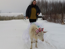 IMG 20210115 095518.jpg