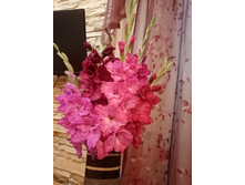 ��������� (� ������)