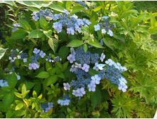 ��������� ���������