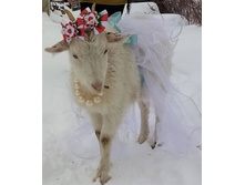 IMG 20210115 095546.jpg