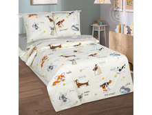 ���� ������ 150 �� ������+���������